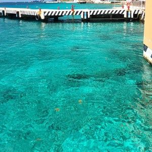 Meet your Posher, Ledonna